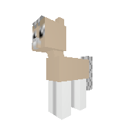 New Pony