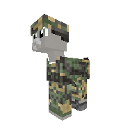 P.O.N.Y Officer