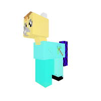 steve