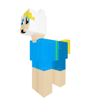 Finn The Human Pony