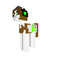 New Pony