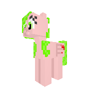 New Pony