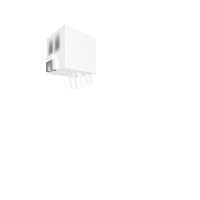 ghast