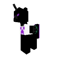 Enderpony