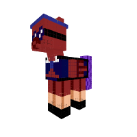 Custume Pony