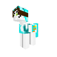 New Pony