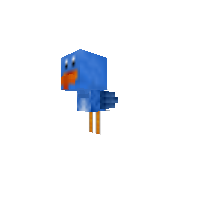 Bird wing