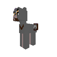 Cave Ponyga