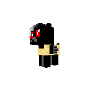 Tac Nayn Pony