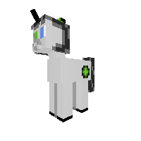 My skin as pony
