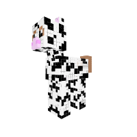 white cow