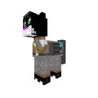 Cat Pony