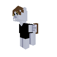 Randow_Player