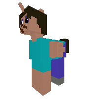 Steve