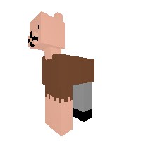 Notch