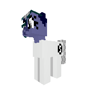 New Pony