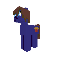 AnyDerp Pony