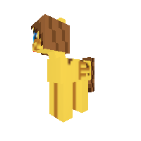 New Pony