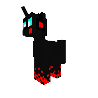 pokii