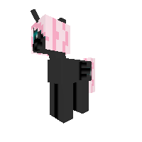 New Pony