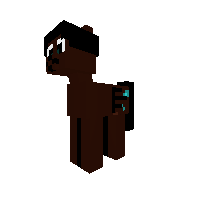 Black the Pony