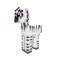 Neat Zebra