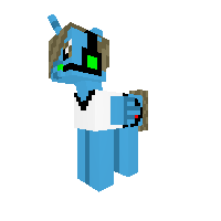 New Pony