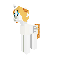 Angel Pony