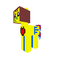 New Pony