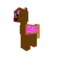 nyn cat