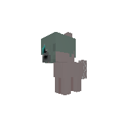 Gray Paw