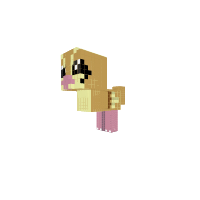 Pidgey