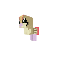 Pidgeot