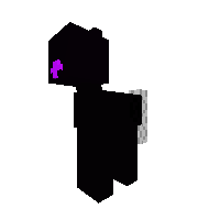 Ender Pony