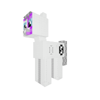 New Pony