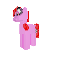 Roses Flower