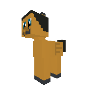 Kadar pony