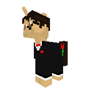 BrownMan Pony