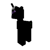 Enderpony