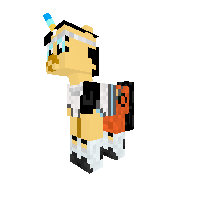 New Pony