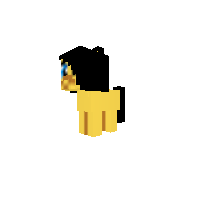 Pichu pony