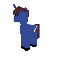 Steve Pony