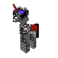 New Pony