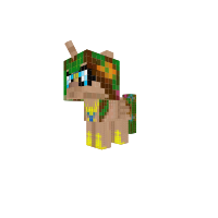 New Pony