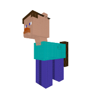Steve
