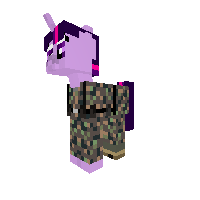 Twilight Waffen SS