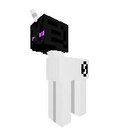 enderpony head