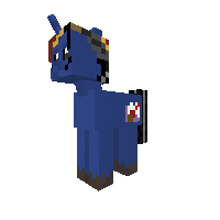 Brony Curious