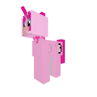 Ambers pony!!!!!