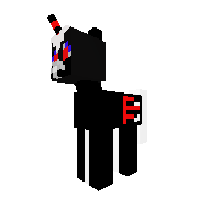 Tajuplný Pony